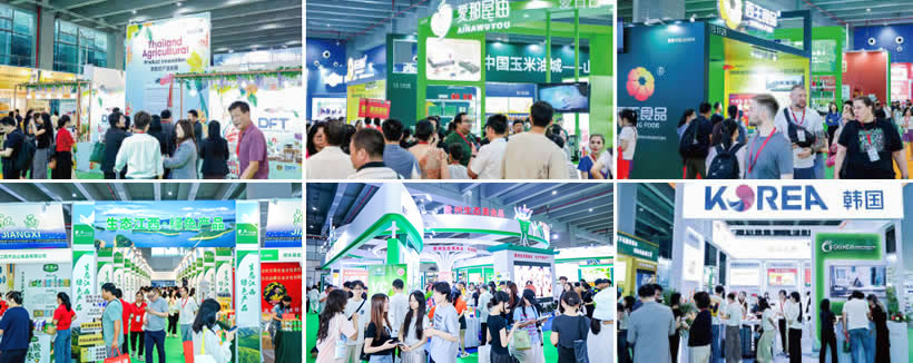 大米行業市場前景